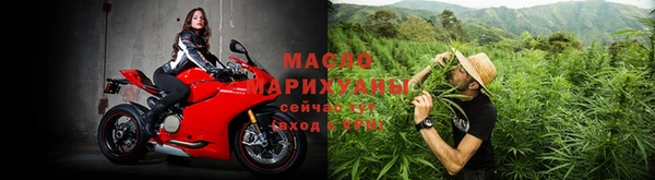 ГАЛЛЮЦИНОГЕННЫЕ ГРИБЫ Ельня