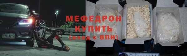 индика Гусев