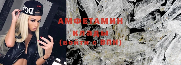 ГАЛЛЮЦИНОГЕННЫЕ ГРИБЫ Ельня