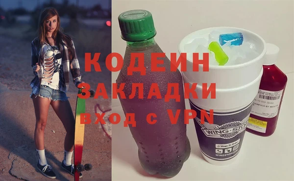 ГАЛЛЮЦИНОГЕННЫЕ ГРИБЫ Ельня