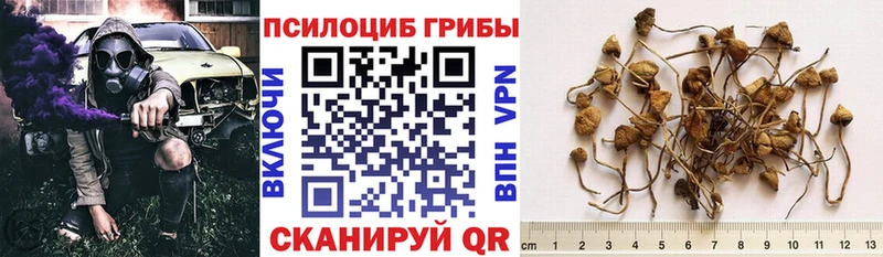 Псилоцибиновые грибы GOLDEN TEACHER  Махачкала 