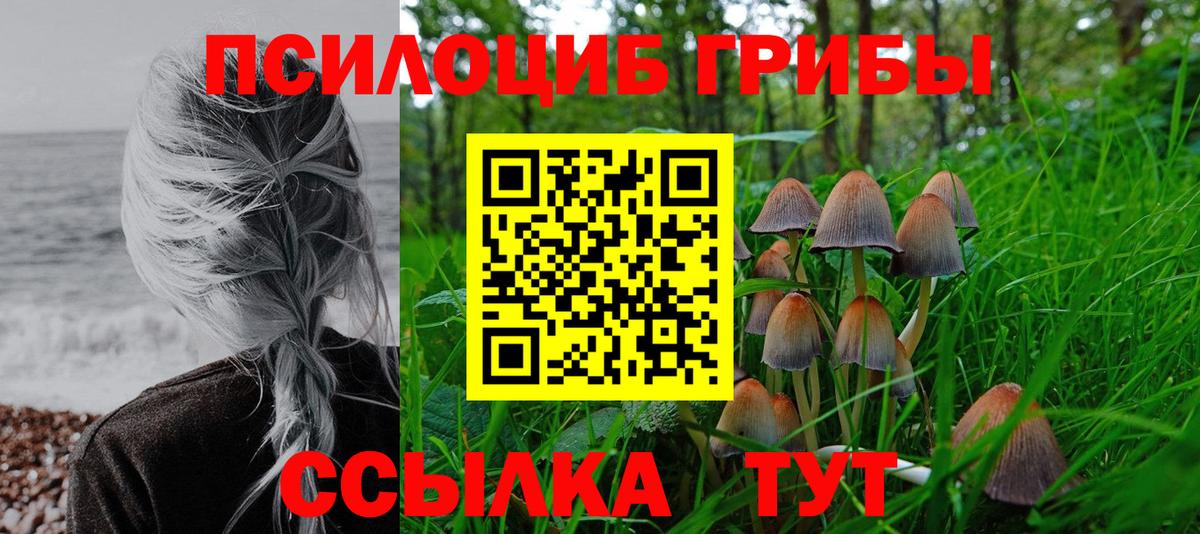 Галлюциногенные грибы мицелий Махачкала