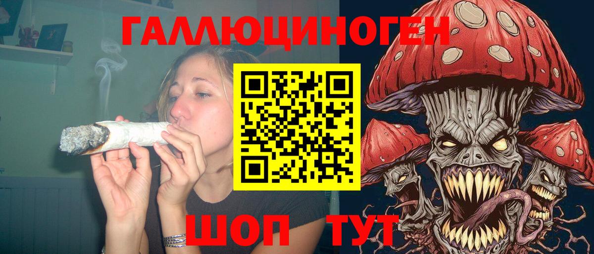 Галлюциногенные грибы Psilocybe  Вход с VPN  Махачкала 