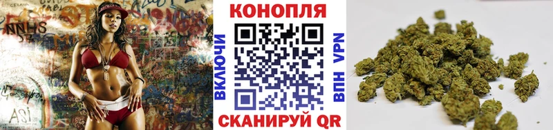 Шишки марихуана планчик  Махачкала 
